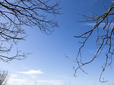 Blue Skies Blue Skies