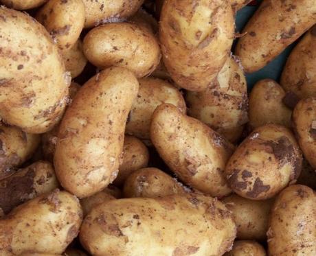 Ukraine Potatoes