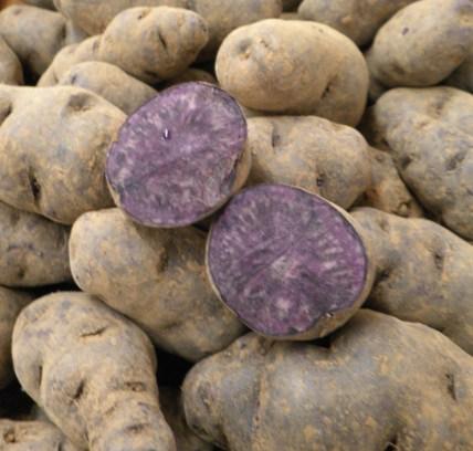 France Potatoes