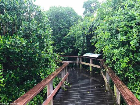 22 Photos That Will Make You Wish You Were in Okinawa, Japan 22 Photos That Will Make You Wish You Were in Okinawa, Japan