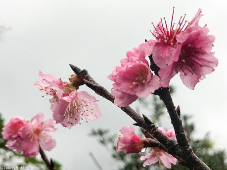 22 Photos That Will Make You Wish You Were in Okinawa, Japan 22 Photos That Will Make You Wish You Were in Okinawa, Japan