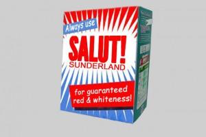 Nil desperandum: why Sunderland’s relegation would still not lead me to despair Jake: 'do you reckon it'll produce a brighter wash next season?' ..'