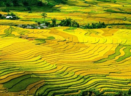 The Top 10 Most Rice Producing Countries in the Entire World China Rice Production