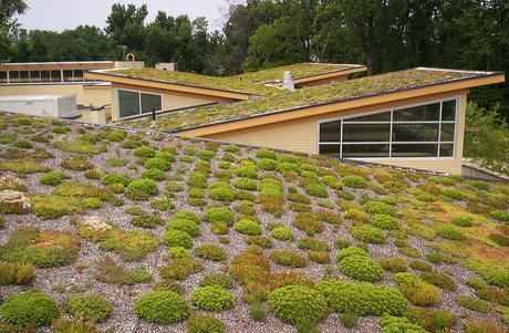 green-roof-cover green-roof-cover