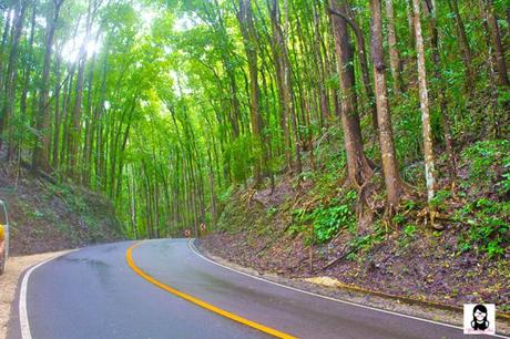 Top 10 Tourist Spots to Visit in Bohol, Philippines Top 10 Tourist Spots to Visit in Bohol, Philippines