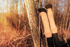 Waking to the birds and the sunrise, and spending my days trekking the forests Picture
