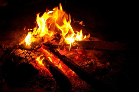 Proper prevention of forest fires and the ability to preserve a campfire Picture