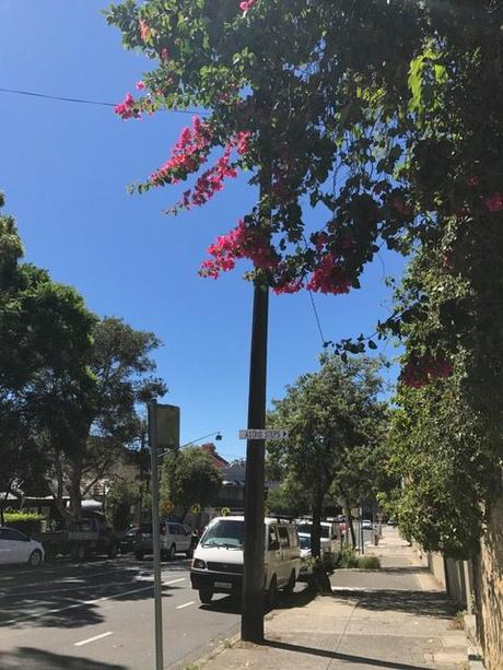 From a SkyScraper in Hong Kong to a Hotel in China and a Townhouse in Suburban Sydney: Where’s Home? From a SkyScraper in Hong Kong to a Hotel in China and a Townhouse in Suburban Sydney: Where’s Home?