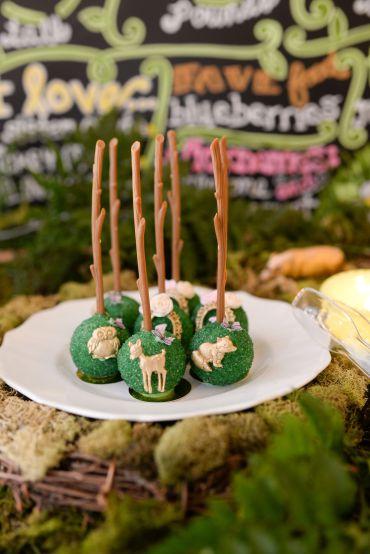 An Enchanted Forest 1st Birthday | Dreamery Events An Enchanted Forest 1st Birthday | Dreamery Events
