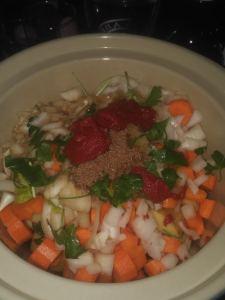 Slow-Cooker Beef Stew with Stout (Darkling Oatmeal Stout – Cannery Brewing)