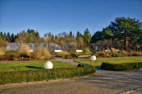 A Sunny Afternoon in the Botanical Garden of Berlin Botanical Gardens Berlin