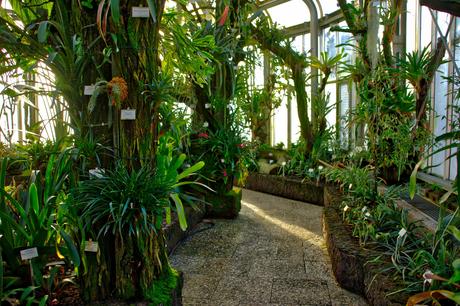 A Sunny Afternoon in the Botanical Garden of Berlin Botanical Gardens Berlin