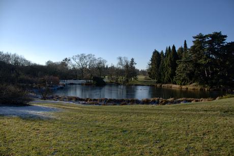 A Sunny Afternoon in the Botanical Garden of Berlin Botanical Gardens Berlin