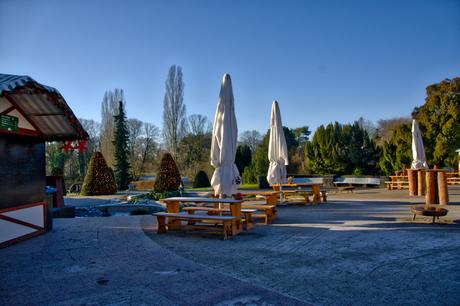 A Sunny Afternoon in the Botanical Garden of Berlin Botanical Gardens Berlin