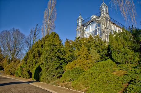 A Sunny Afternoon in the Botanical Garden of Berlin Botanical Gardens Berlin