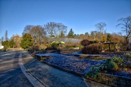 A Sunny Afternoon in the Botanical Garden of Berlin Botanical Gardens Berlin