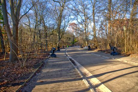 A Sunny Afternoon in the Botanical Garden of Berlin Botanical Gardens Berlin