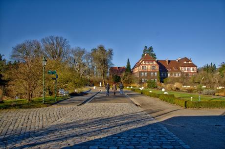 A Sunny Afternoon in the Botanical Garden of Berlin Botanical Gardens Berlin