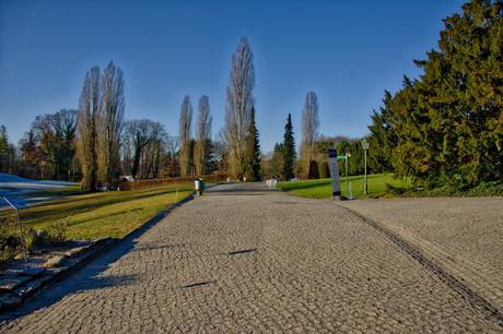 A Sunny Afternoon in the Botanical Garden of Berlin Botanical Gardens Berlin