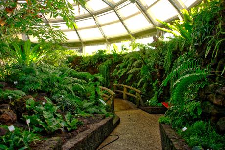 A Sunny Afternoon in the Botanical Garden of Berlin Botanical Gardens Berlin