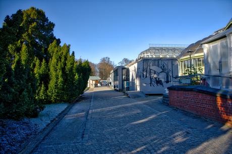 A Sunny Afternoon in the Botanical Garden of Berlin Botanical Gardens Berlin