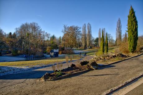 A Sunny Afternoon in the Botanical Garden of Berlin Botanical Gardens Berlin