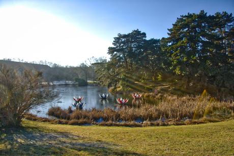 A Sunny Afternoon in the Botanical Garden of Berlin Botanical Gardens Berlin