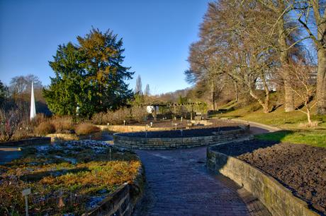 A Sunny Afternoon in the Botanical Garden of Berlin Botanical Gardens Berlin