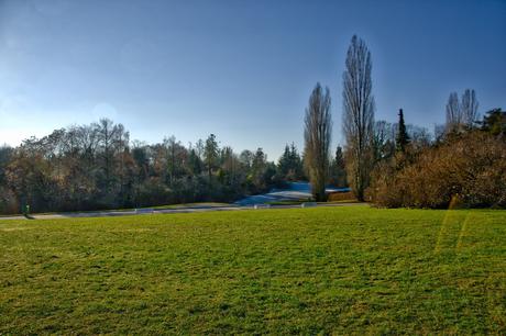 A Sunny Afternoon in the Botanical Garden of Berlin Botanical Gardens Berlin