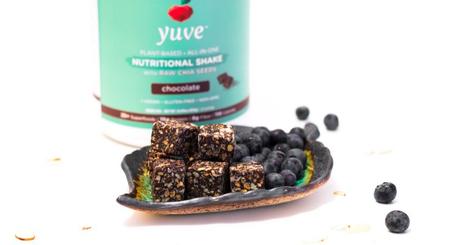 Chocolate Protein Energy Bites Chocolate Protein Energy Bites