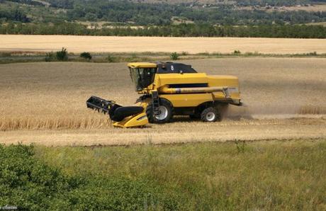 The Top 10 Most Wheat Producing Countries in the Entire World Russia Wheat Production
