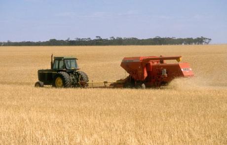 The Top 10 Most Wheat Producing Countries in the Entire World Australia Wheat Production
