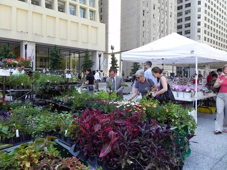Chicago City Markets Make a Fresh Return This Year Photo Credit: City of Chicago