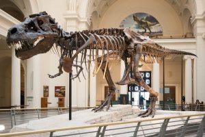 Meet Dinosaurs at New ‘Jurassic World’ Exhibit at the Field Museum Meet Dinosaurs at New ‘Jurassic World’ Exhibit at the Field Museum