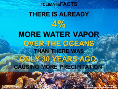 #ClimateFacts series: #ClimateChange #Science #Oceans