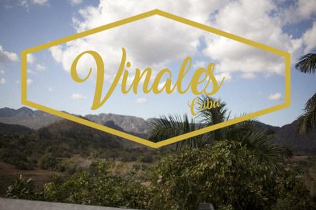 vinales, cuba // dame family trip 2017