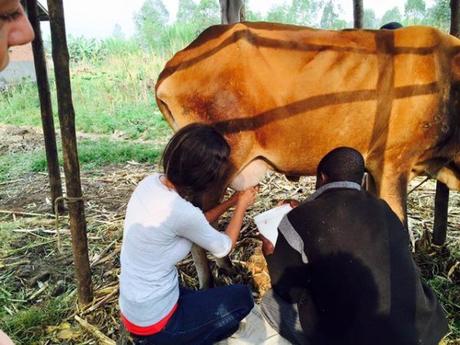 Taking in An Eco Camp in Rwanda
