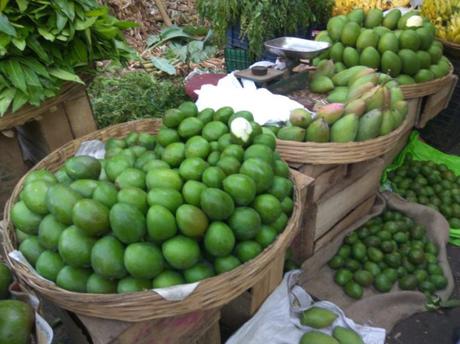 Varieties of raw mangoes available during this season