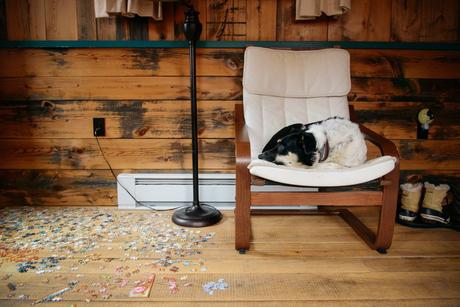 A Tour of “MoonShine,” A Tiny House Cabin at Blue Moon Rising Campground