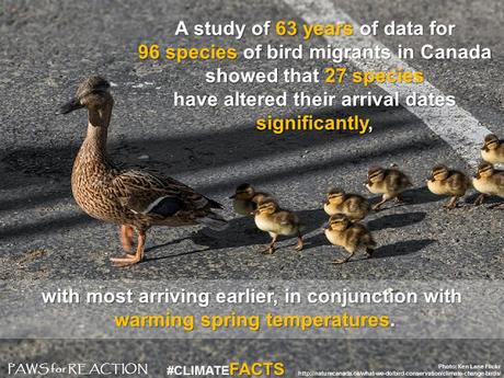 ClimateFacts series: #ClimateChange #Science #Birds ClimateFacts series: #ClimateChange #Science #Birds