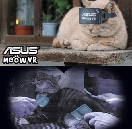 Top 10 Very Funny April Fool’s Day Cat Jokes ASUS Meow VR Headset
