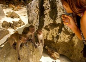 A Lapse in Luxury in Phuket Monkey Beach, Escaping the Backpackers in Phuket, A Lapse in Luxury.