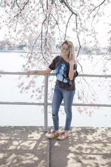Why you need to see the Cherry Blossoms in Washington, D.C. Why you need to see the Cherry Blossoms in Washington, D.C.