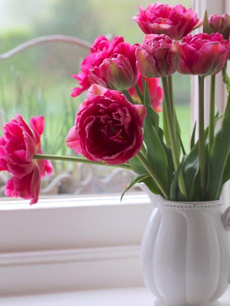 Monday Flowers – Here Come The Girls! Monday Flowers – Here Come The Girls!