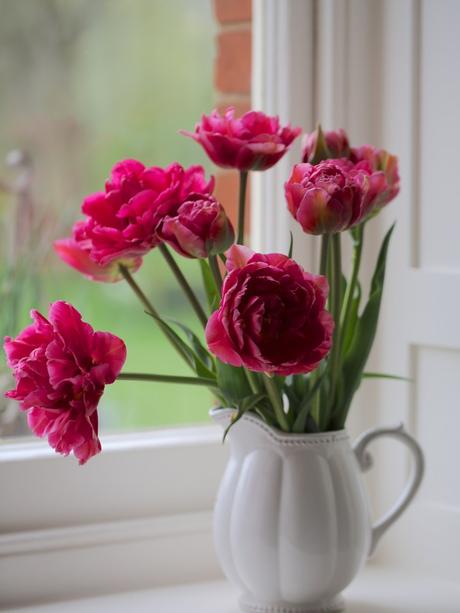Monday Flowers – Here Come The Girls! Monday Flowers – Here Come The Girls!