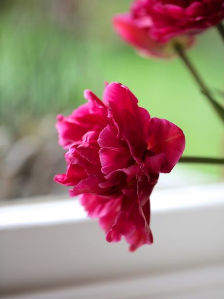 Monday Flowers – Here Come The Girls! Monday Flowers – Here Come The Girls!