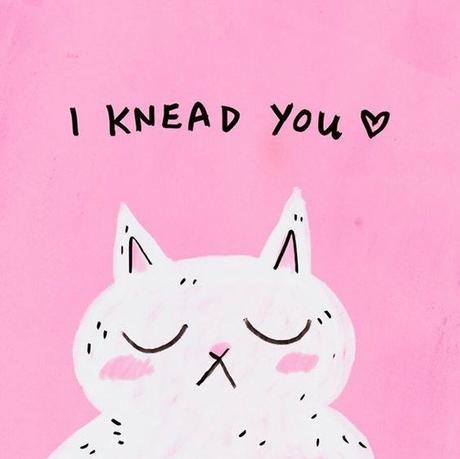 What is cat kneading and why do cats knead their owners? What is cat kneading and why do cats knead their owners?