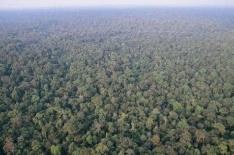 The Top 10 Largest Woodland Forests in the UK The Top 10 Largest Woodland Forests in the UK