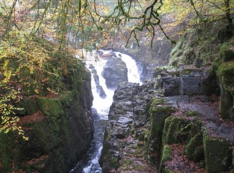 The Top 10 Largest Woodland Forests in the UK Tay Forest Park, Scotland
