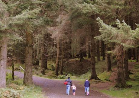 The Top 10 Largest Woodland Forests in the UK Queen Elizabeth Forest Park, Scotland
